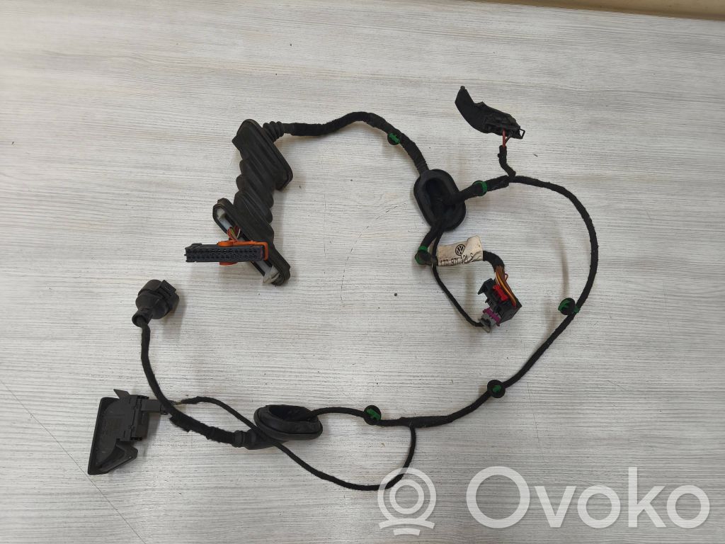 Volkswagen Touran I Wiązka przewodów drzwi przednich 