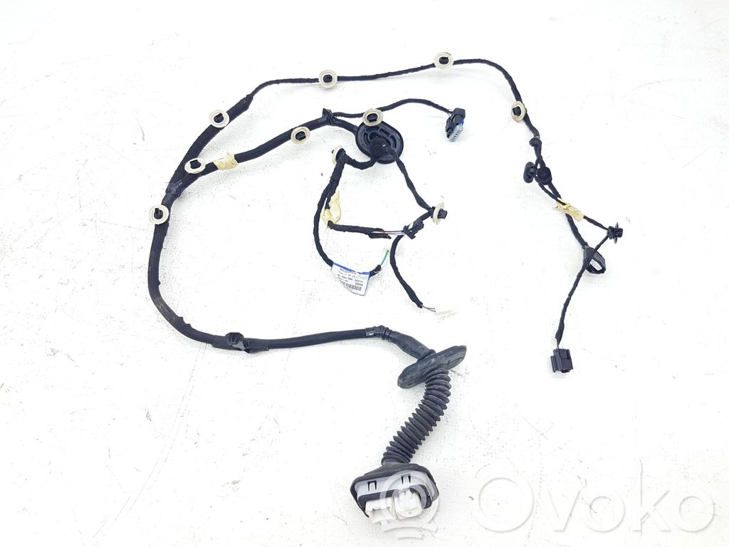 Renault Talisman Cableado de puerta trasera 