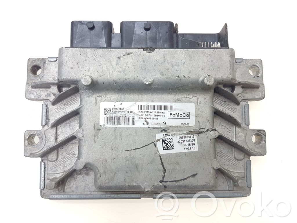 Ford C-MAX II Engine control unit/module 