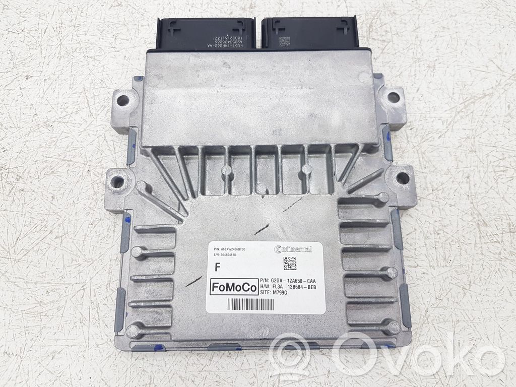 Ford Edge II Engine control unit/module 