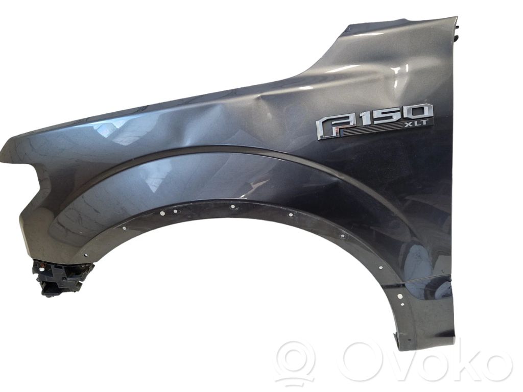 Ford F150 Sparnas 