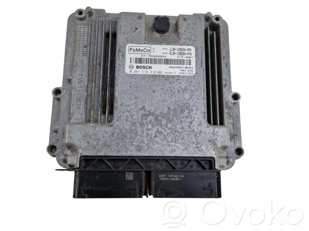 Ford F150 Engine control unit/module 