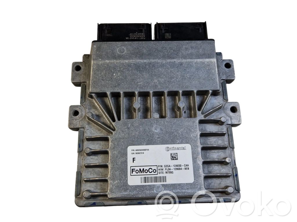Ford Edge II Engine control unit/module 