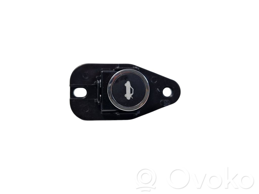 Dodge Charger Tailgate opening switch 