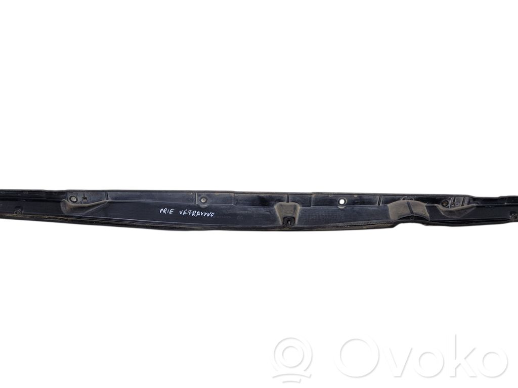 Chrysler Pacifica Wiper trim 