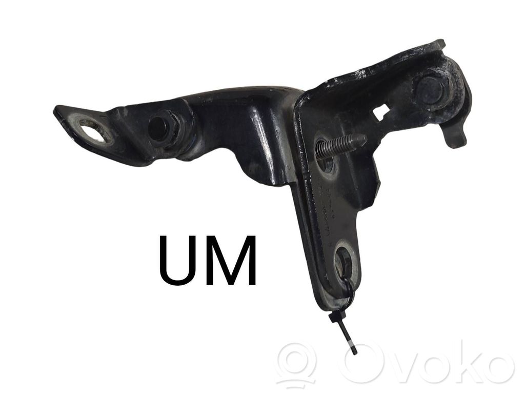 Ford Escape IV Front door hinge set 