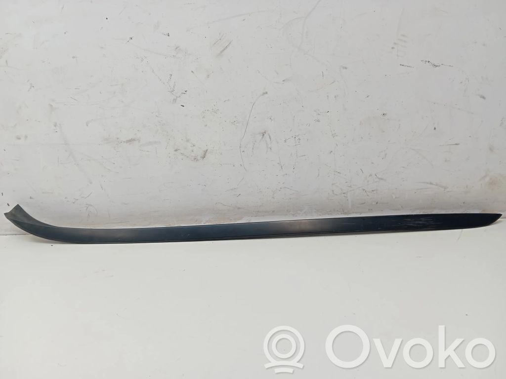 Windshield trim   717926303