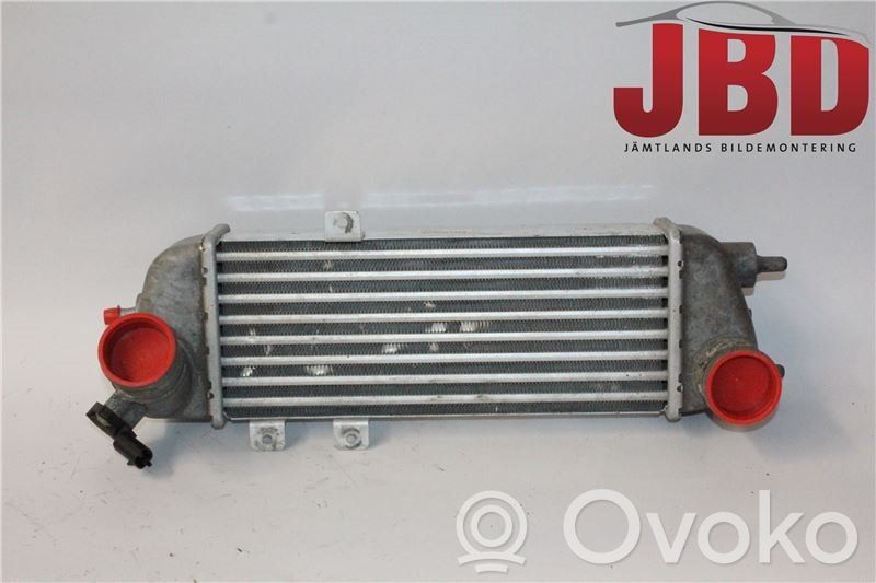 Intercooler radiator   282702A611