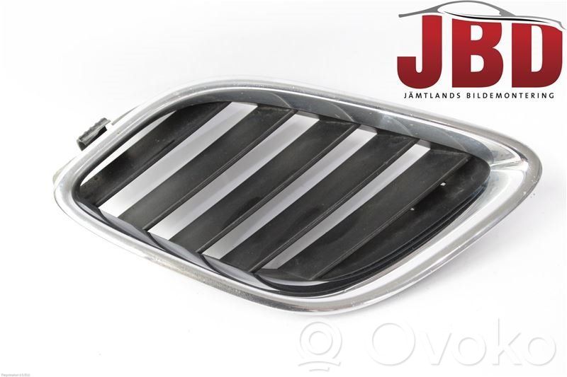 Front bumper lower grill   5337662,5337662