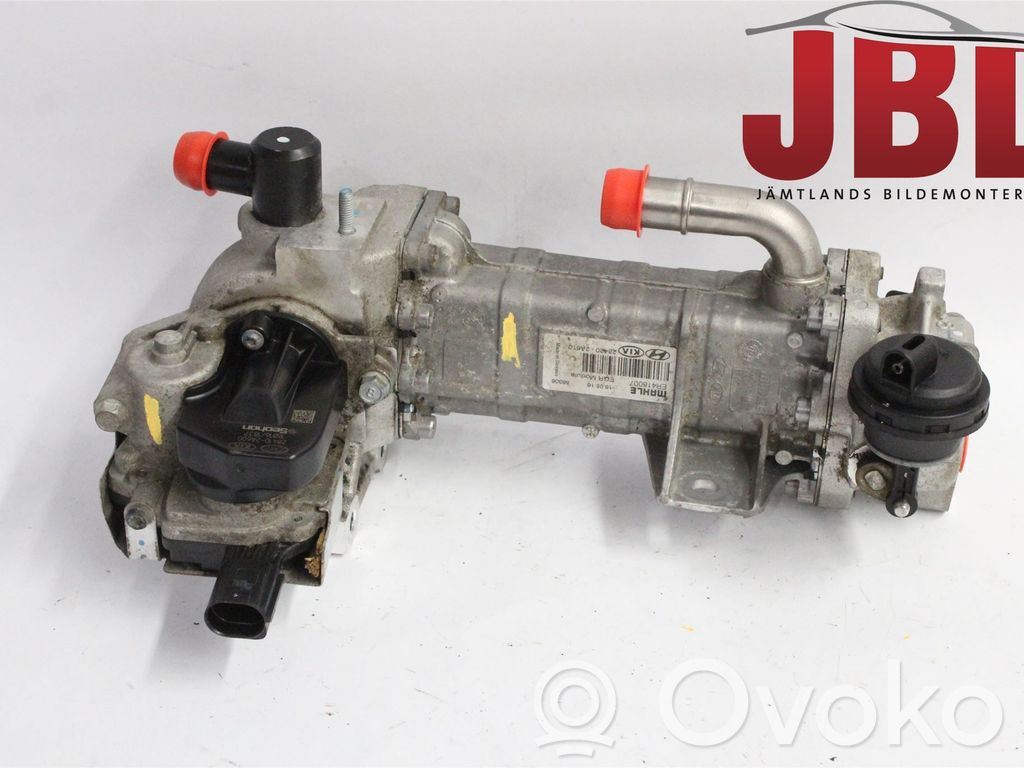EGR vožtuvas   284202A610