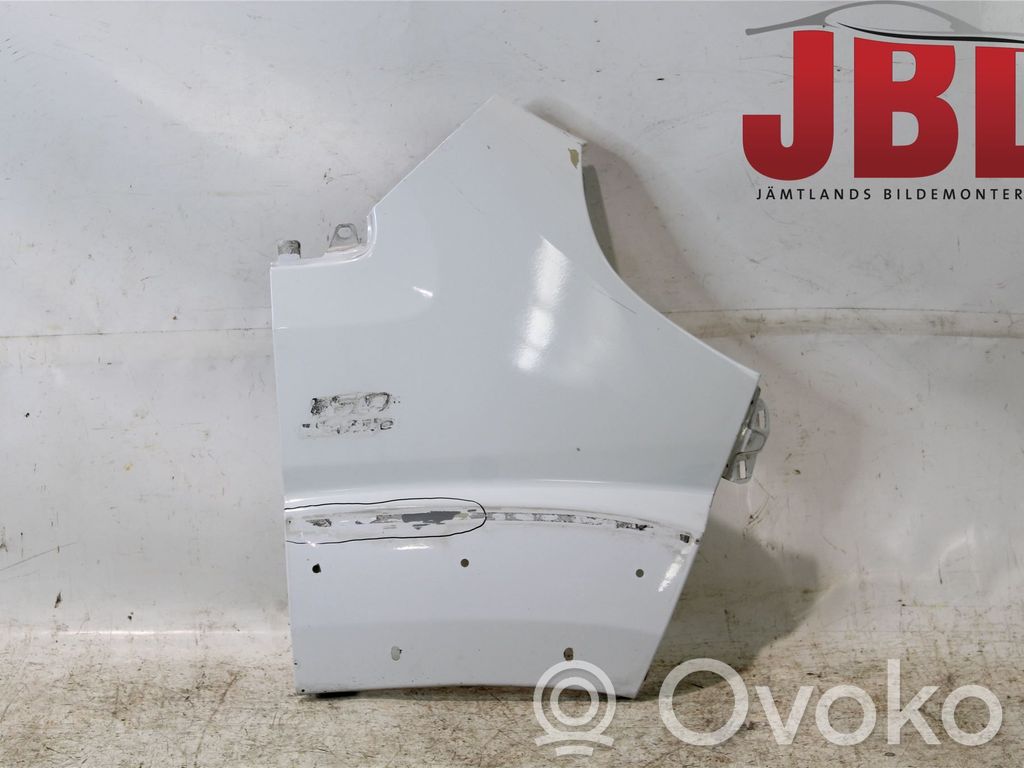 Fiat Ducato Guardabarro 