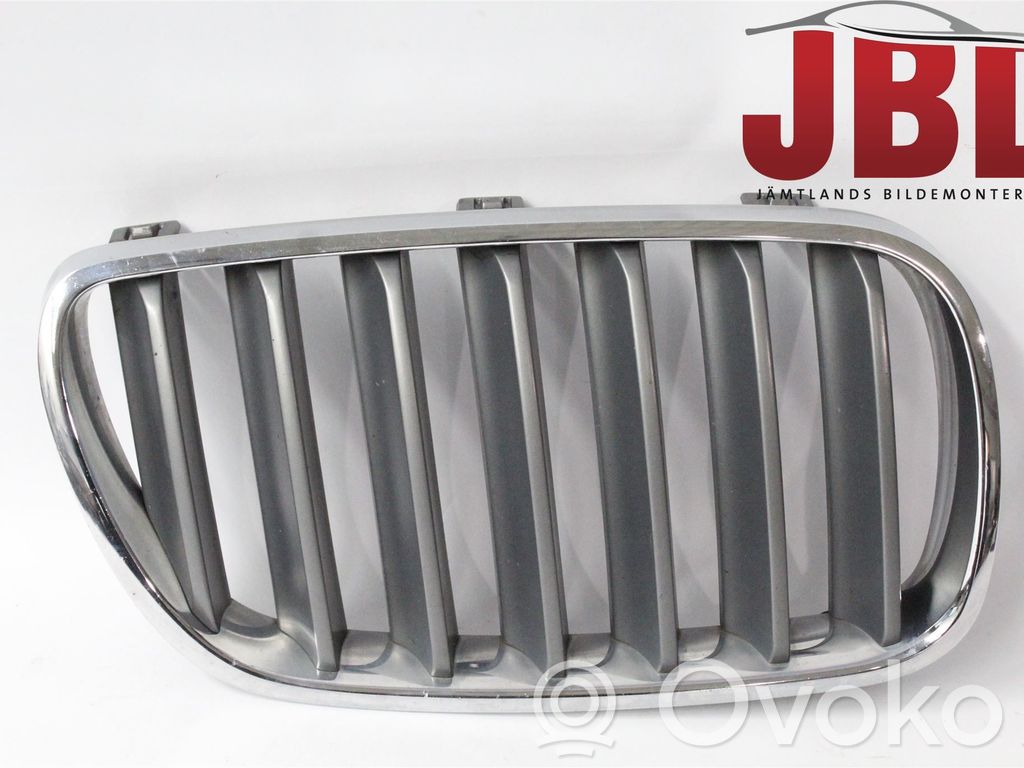 Front bumper lower grill   51113420088