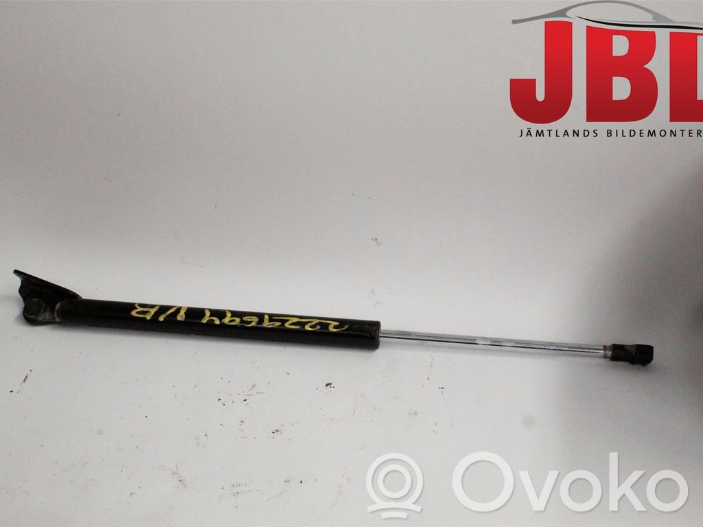 Tailgate strut   5802A665