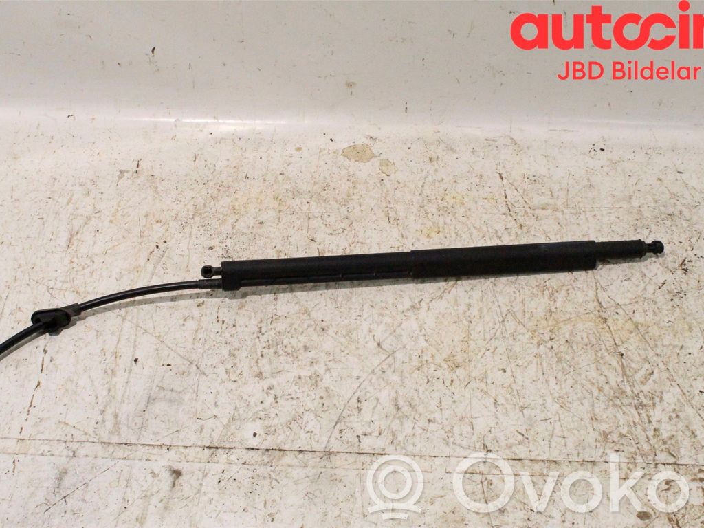 Citroen C5 Tailgate/trunk strut/damper 