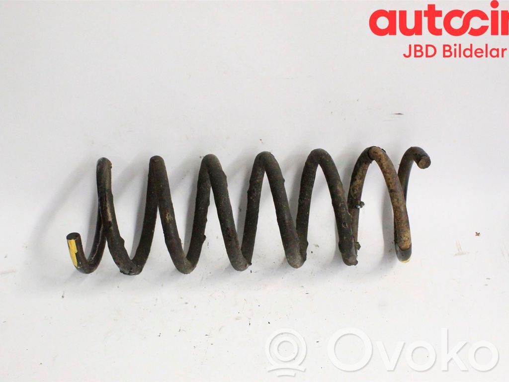 Rear coil spring