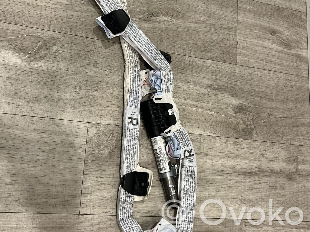 BMW X1 E84 Airbag del techo 