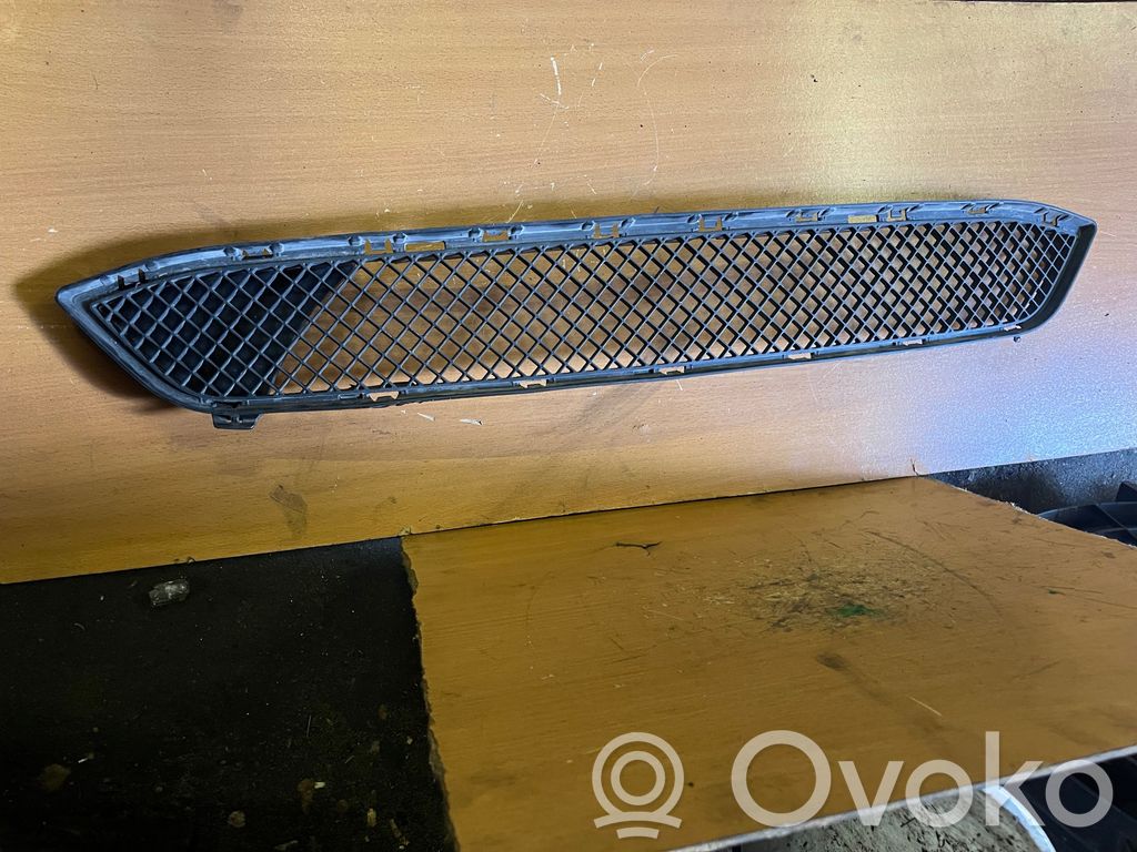 BMW X1 E84 Front grill 