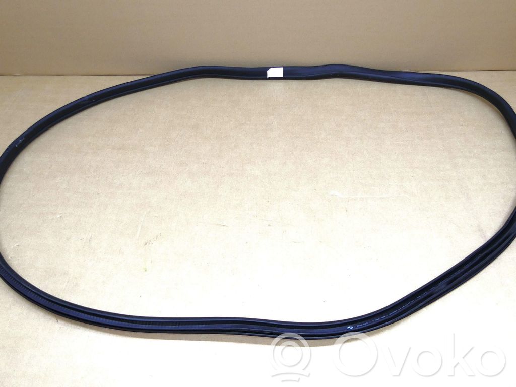 BMW 4 G22 G23 G24 G26 Gumowa uszczelka drzwi przednich 