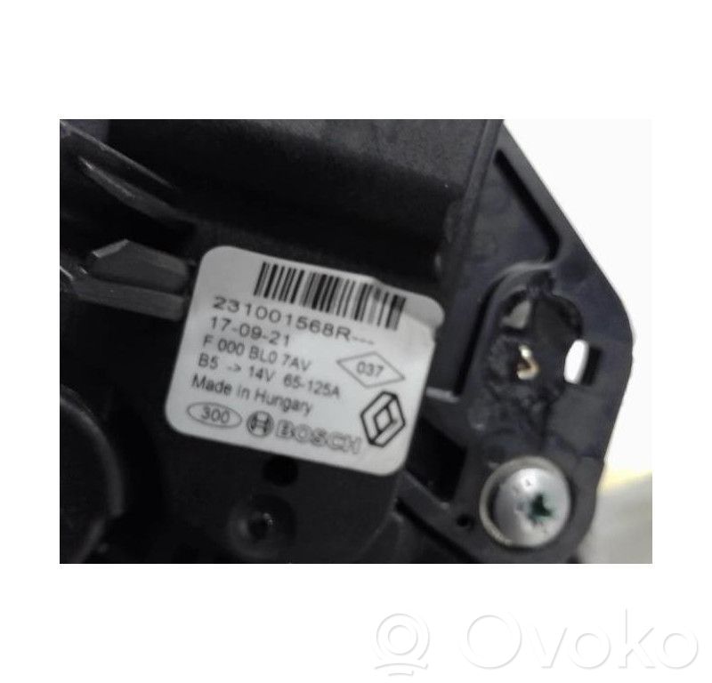 Generatorius   231001910R