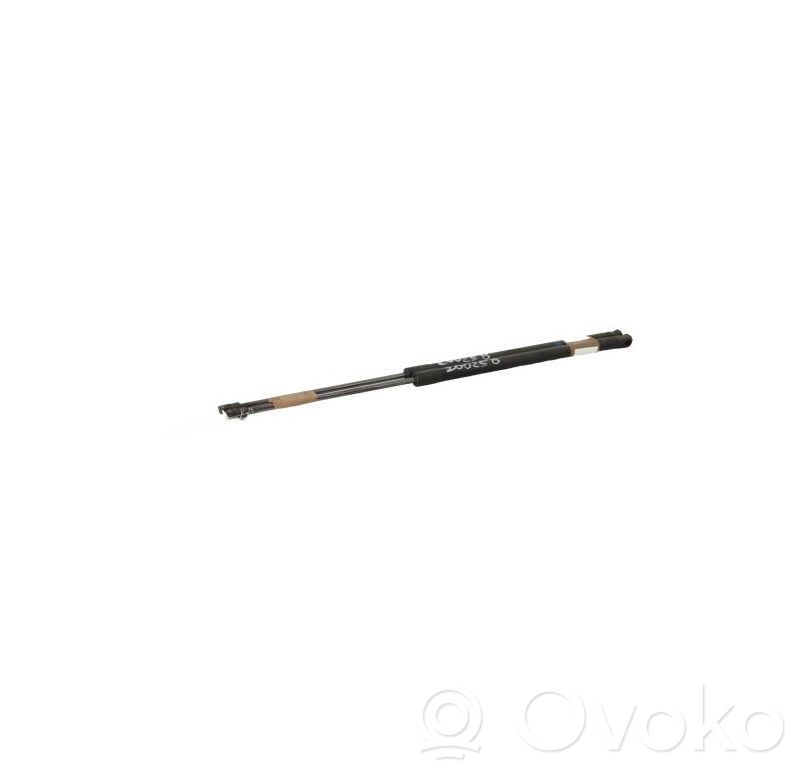 Tailgate/trunk strut/damper