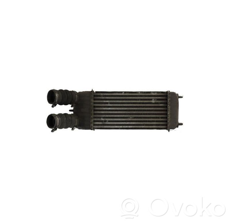 Citroen C3 Picasso Intercooler radiator 