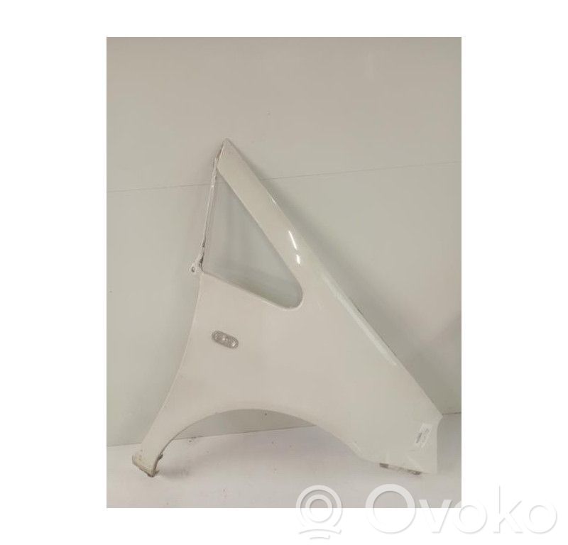 Ford Galaxy Sparnas 