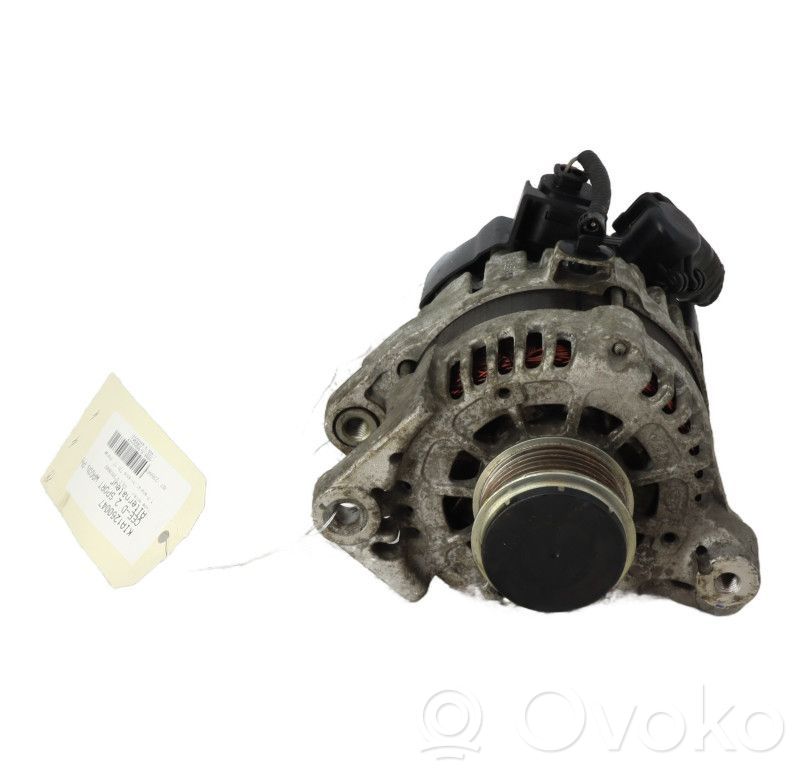 Generator/alternator   373002B960