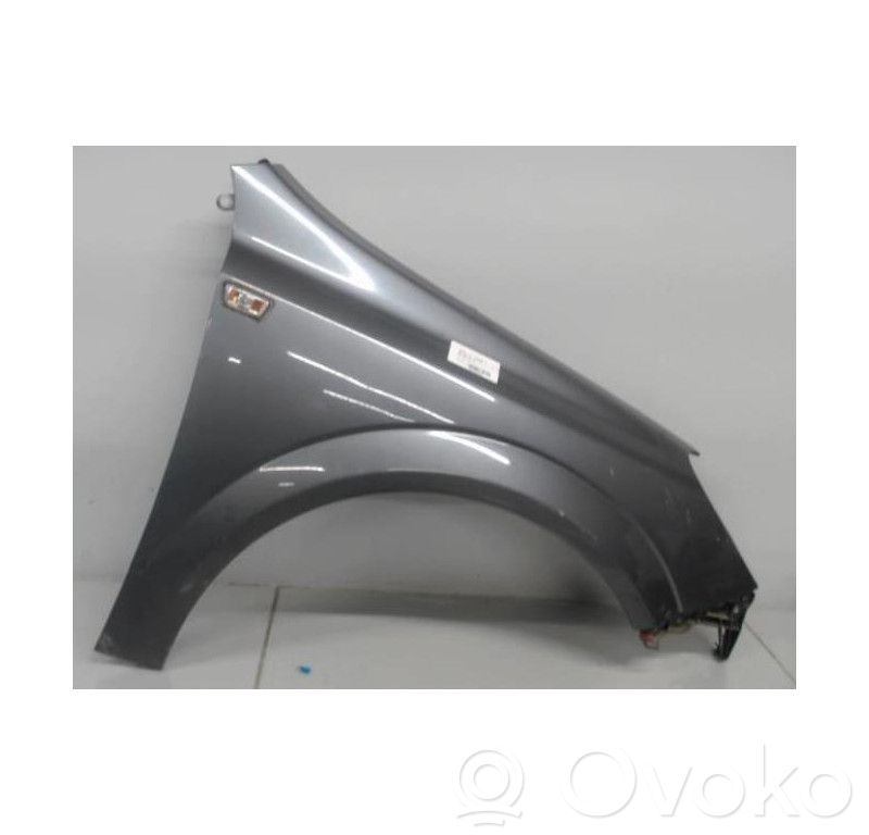 Guardabarro   93178667
