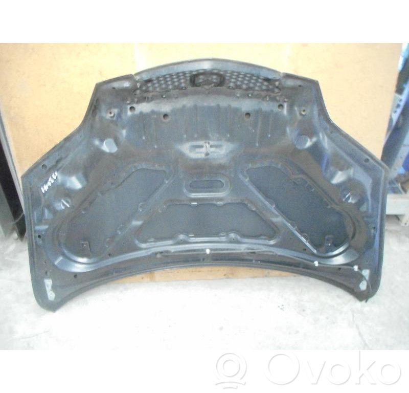Motorhaube   DDY05231X