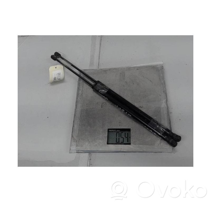 Tailgate/trunk strut/damper   DD1062620A