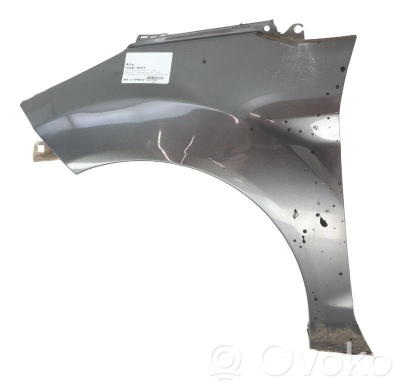Guardabarro   1777180