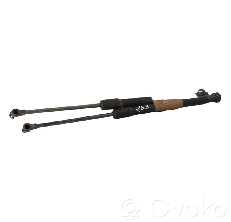 Tailgate/trunk strut/damper   51247060622