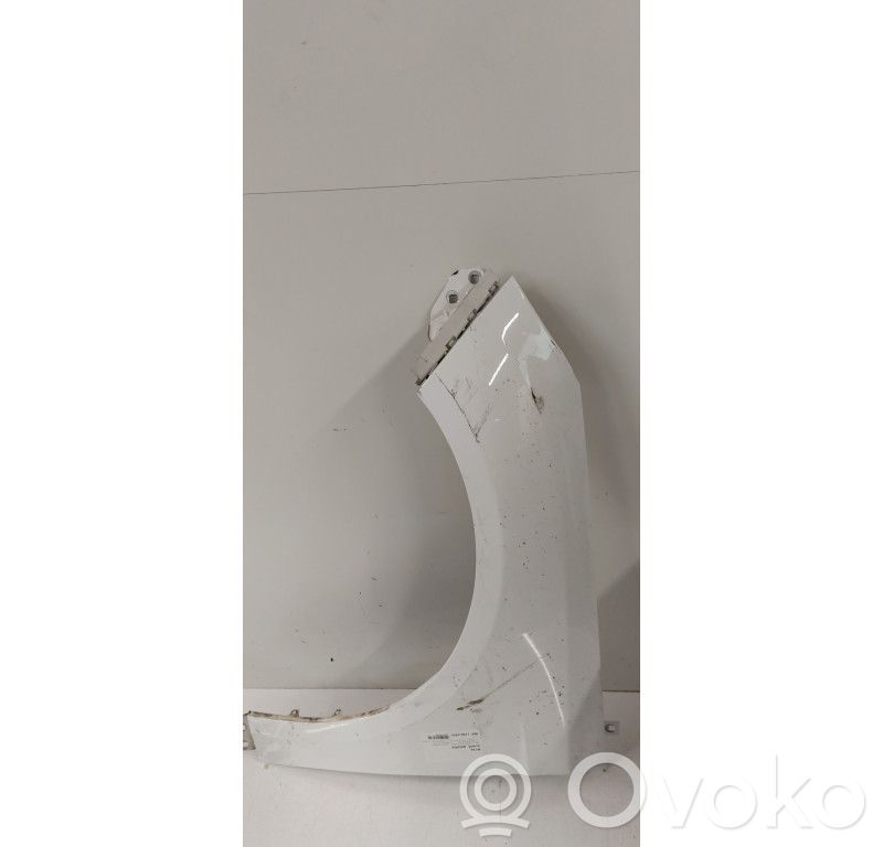 Kotflügel   2171304