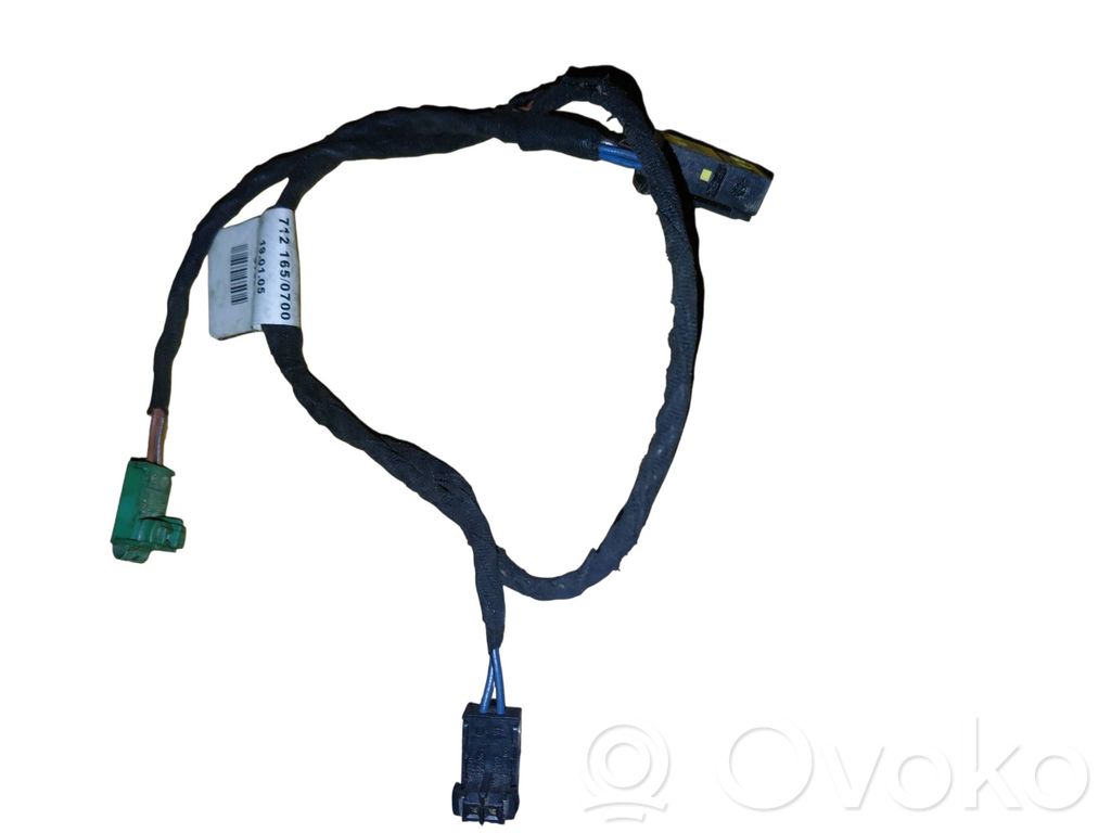 BMW X5 E53 Otros cableados 
