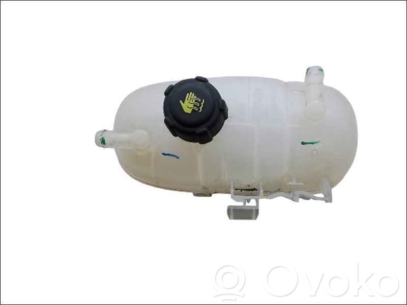 Renault Mégane Renault Sport III (IV Based) Coolant expansion tank/reservoir 