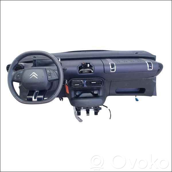 Citroen C4 Cactus Panelis 