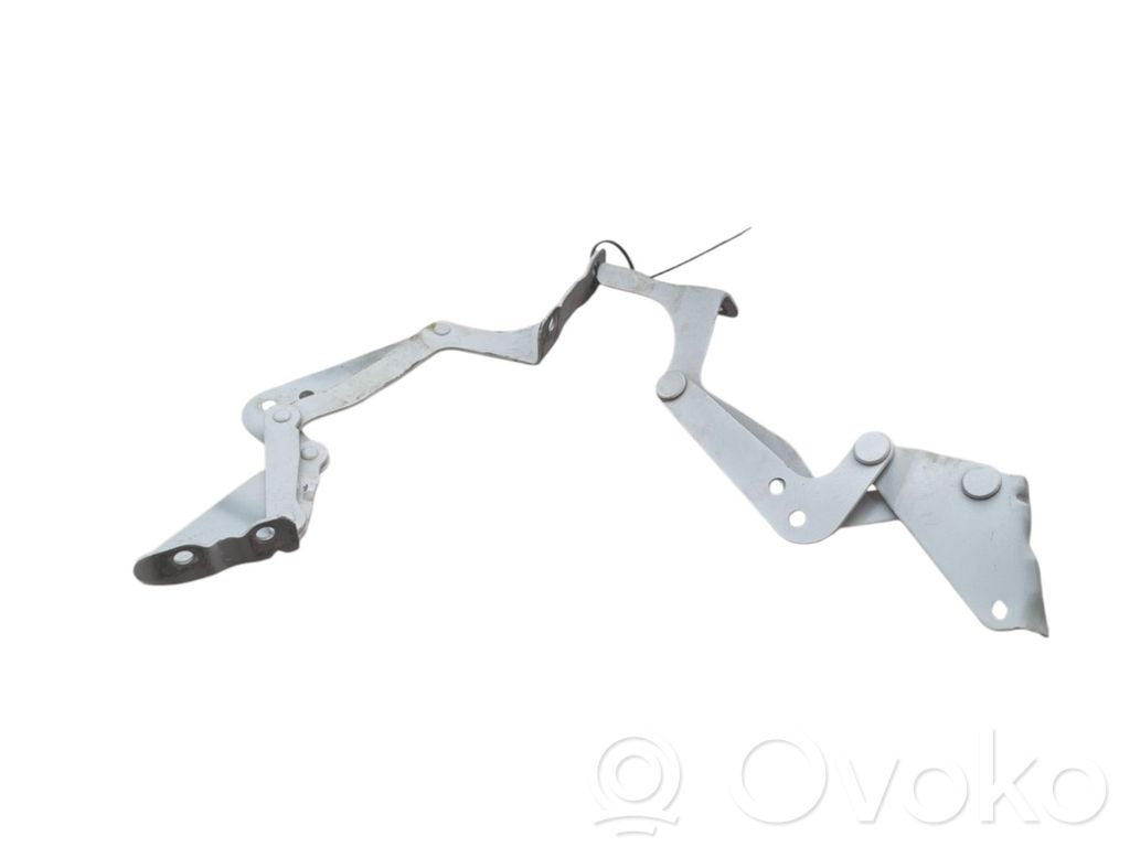 Peugeot iOn Dzinēja pārsega eņģe (-es) 