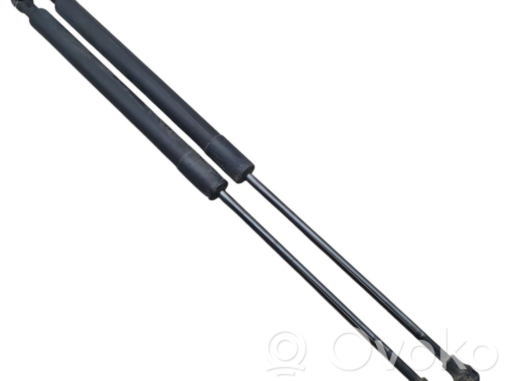 Citroen C3 Tailgate/trunk strut/damper 