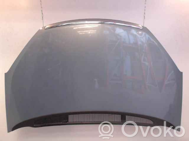Motorhaube   1493967,1493967,20232396,6948657,VDMS10