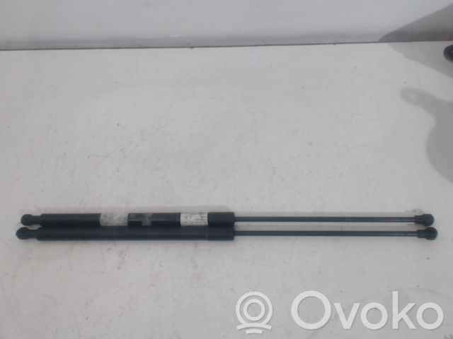 Citroen C6 Amortizor capotă motor 