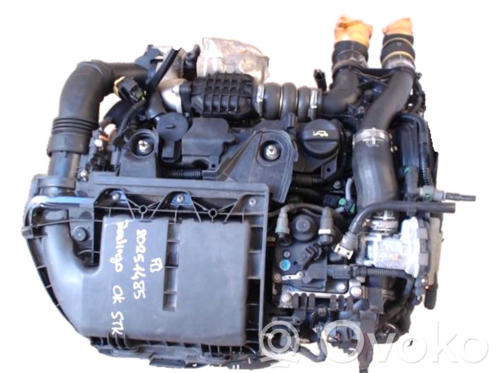 Engine   00000135SW,0135SW,20251485,9628593,VDMS10
