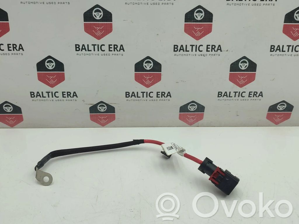 BMW 2 F45 Pliusinis laidas (akumuliatoriaus) 