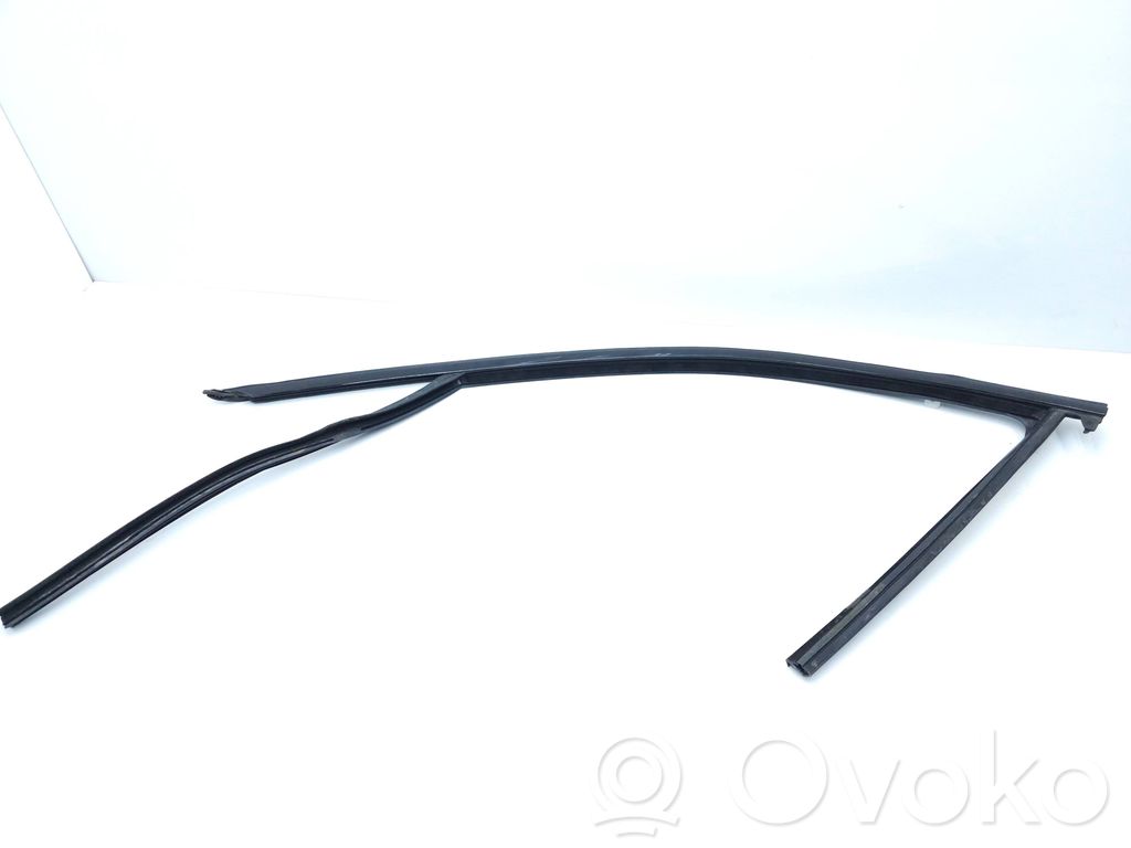 BMW 3 G20 G21 Listwa / Uszczelka szyby drzwi przednich 