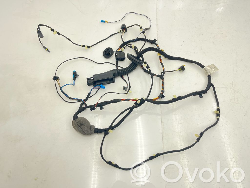 BMW X3 G01 Cableado de puerta delantera 