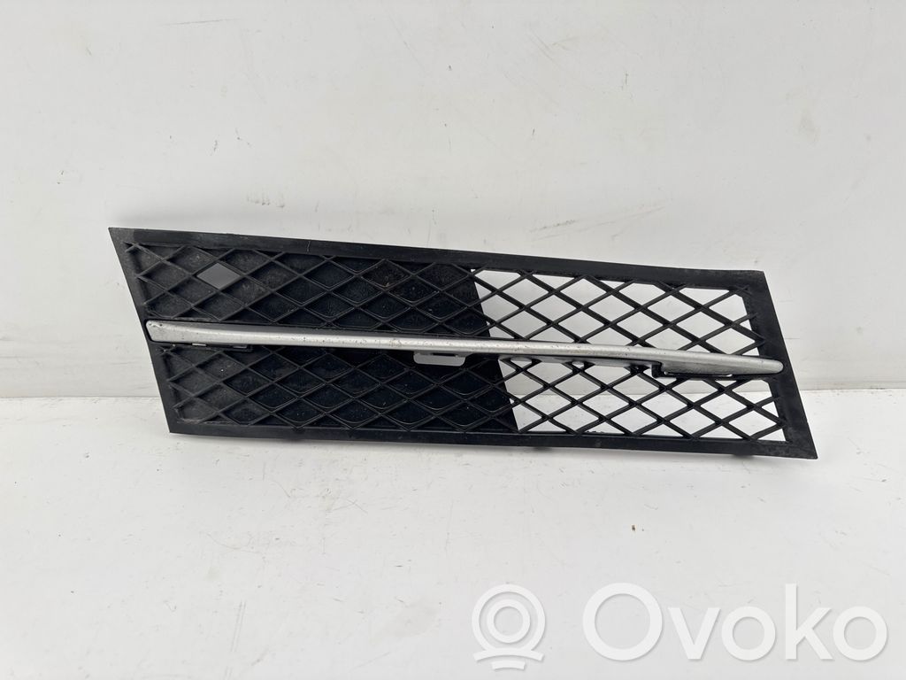 BMW 5 F10 F11 Front bumper lower grill 