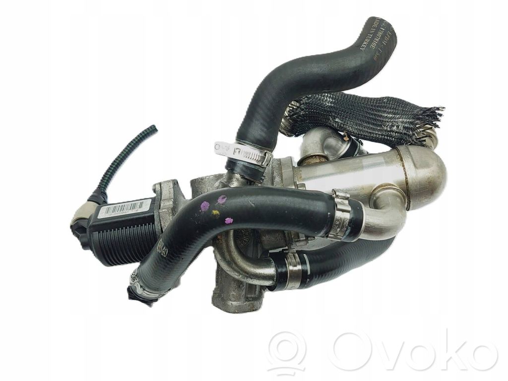 Válvula EGR   55219498