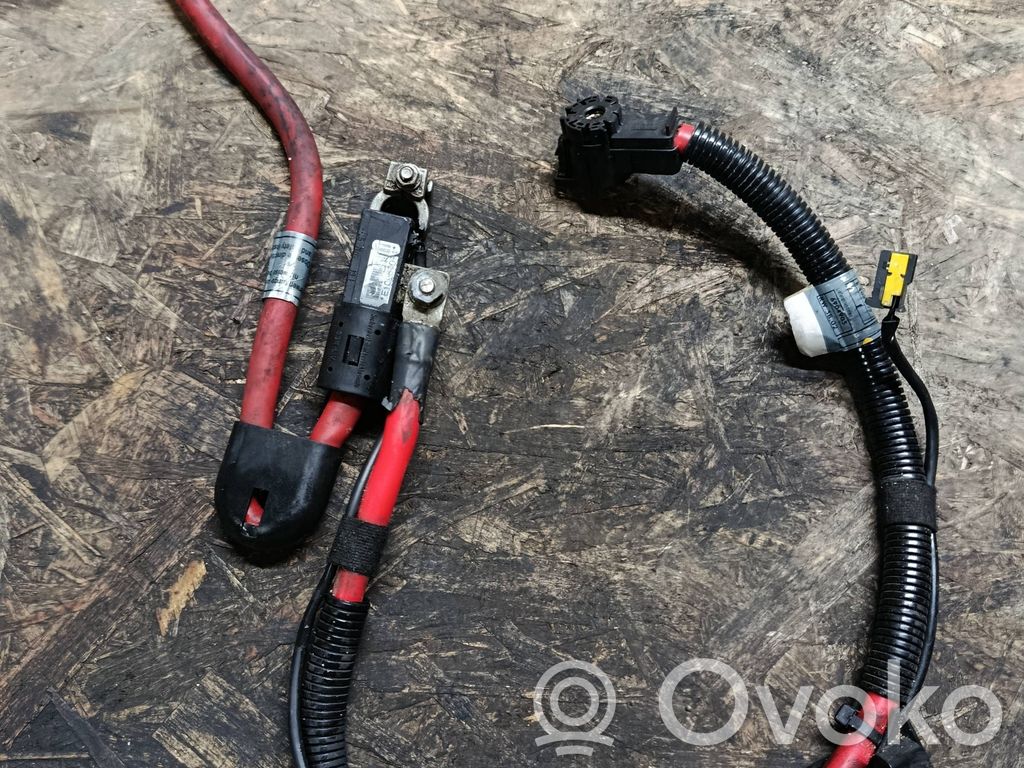 Plusa vads (akumulatora)   10304410,EE757P,6904905