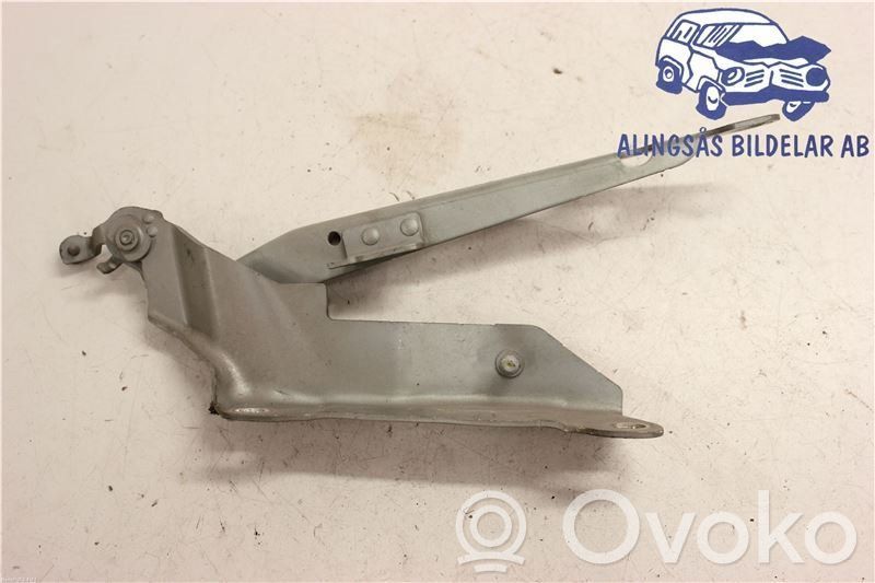 Engine bonnet/hood hinges