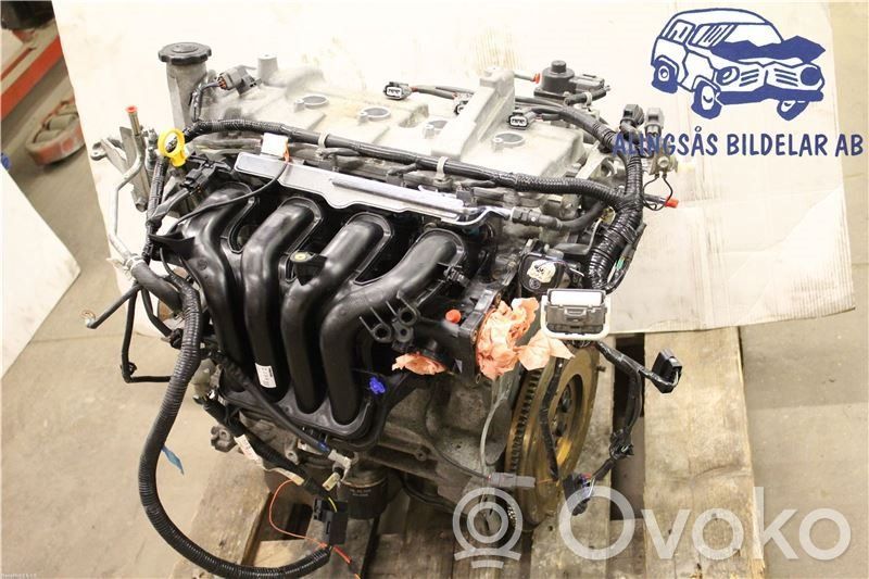 Variklis   ZJ4602300F,ZJVE