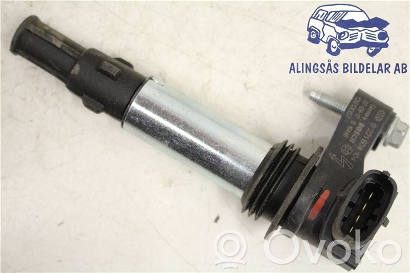 Aukštos įtampos ritė "babyna"   0221604104,12613057